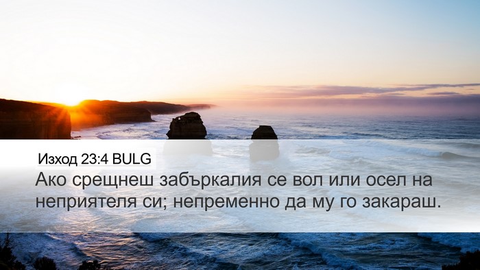 Изход 23:4 BULG Bible Verse Image