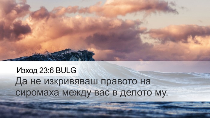 Изход 23:6 BULG Bible Verse Image