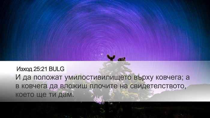 Изход 25:21 BULG Bible Verse Image