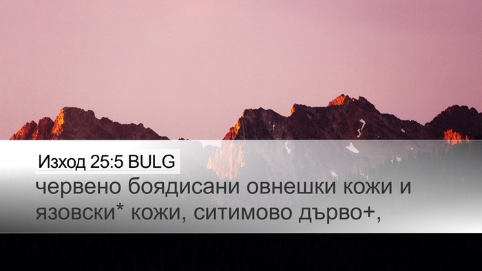 Изход 25:5 BULG Bible Verse Image