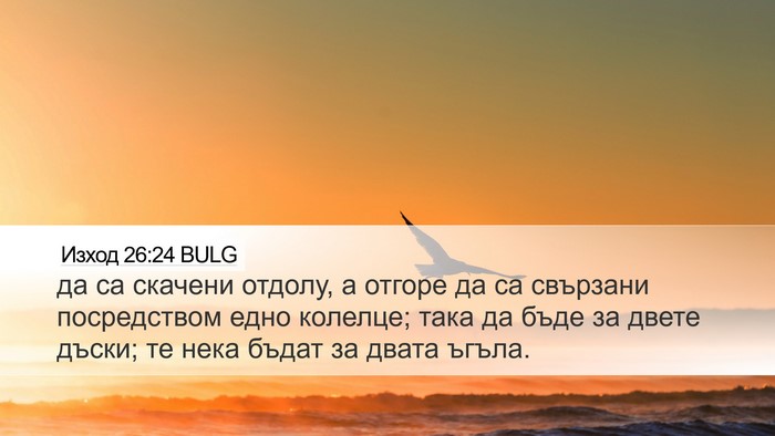 Изход 26:24 BULG Desktop Wallpaper - да са скачени отдолу, а - Desktop Bible Verse Wallpaper