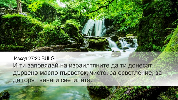 Изход 27:20 BULG Bible Verse Image
