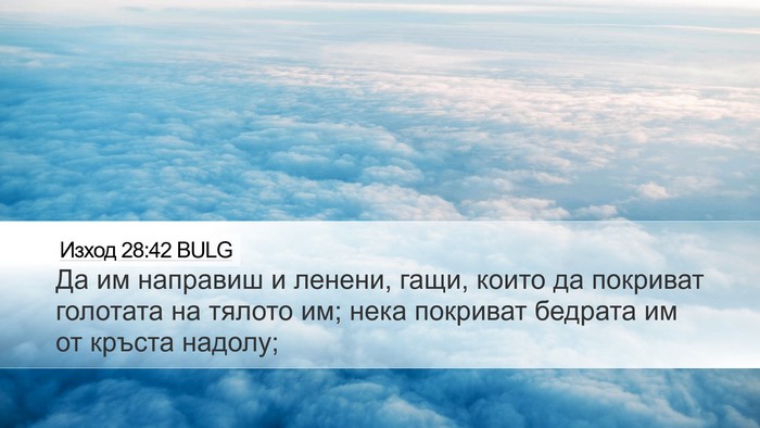 Изход 28:42 BULG Bible Verse Image
