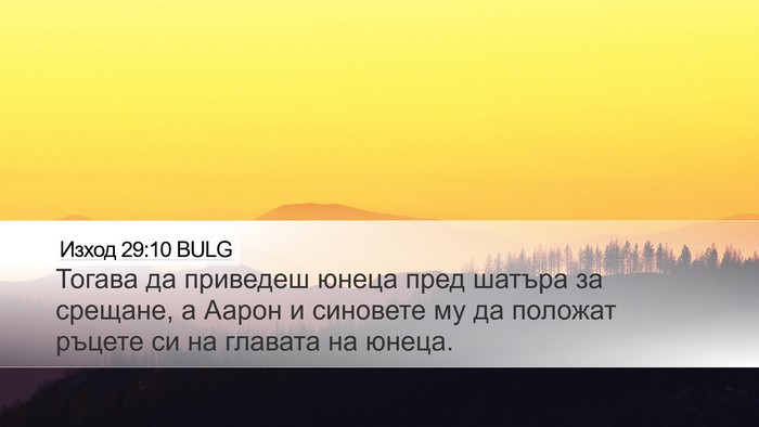 Изход 29:10 BULG Bible Verse Image