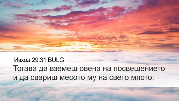 Изход 29:31 BULG Bible Verse Image