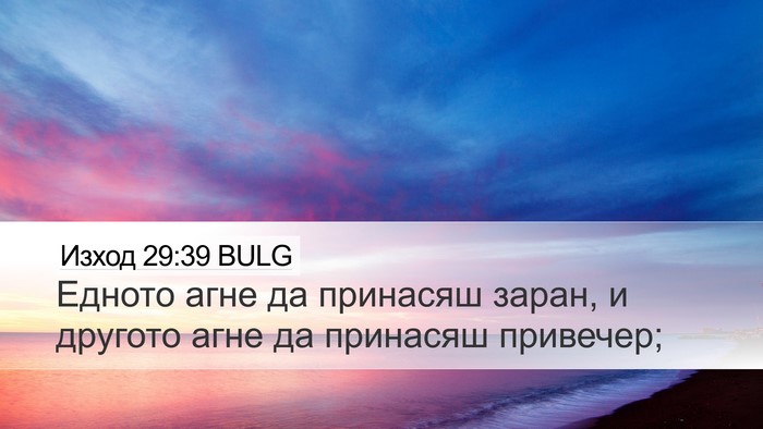 Изход 29:39 BULG Bible Verse Image
