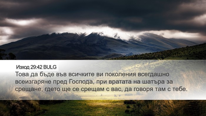 Изход 29:42 BULG Bible Verse Image