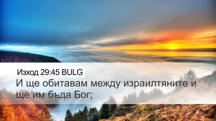 Изход 29:45 BULG Bible Verse Image