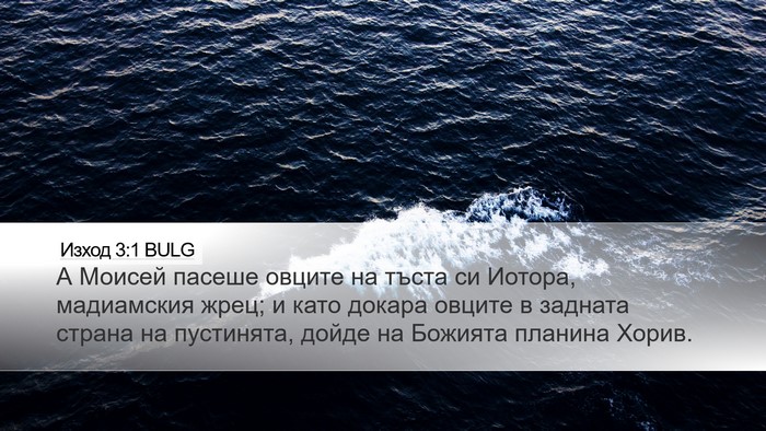 Изход 3:1 BULG Bible Verse Image