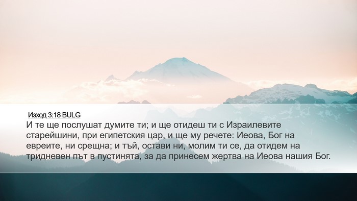 Изход 3:18 BULG Bible Verse Image