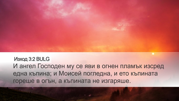 Изход 3:2 BULG Bible Verse Image