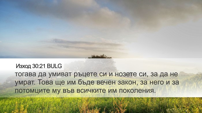 Изход 30:21 BULG Desktop Wallpaper - тогава да умиват ръцете си - Desktop Bible Verse Wallpaper