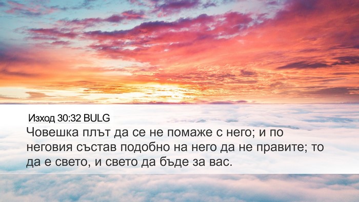 Изход 30:32 BULG Desktop Wallpaper - Човешка плът да се не - Desktop Bible Verse Wallpaper