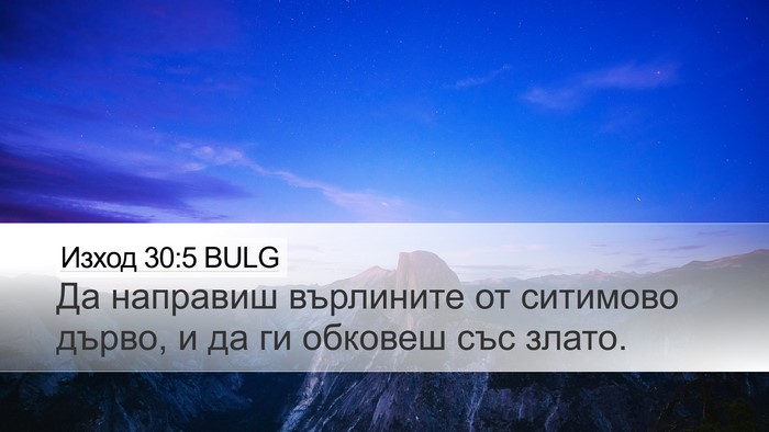 Изход 30:5 BULG Bible Verse Image