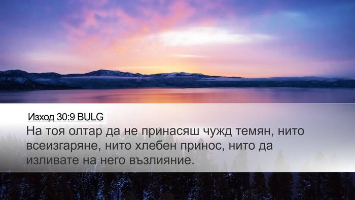Изход 30:9 BULG Bible Verse Image