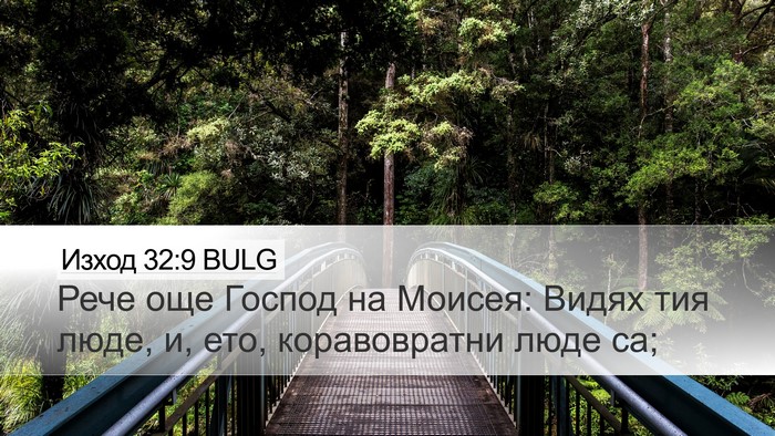 Изход 32:9 BULG Bible Verse Image