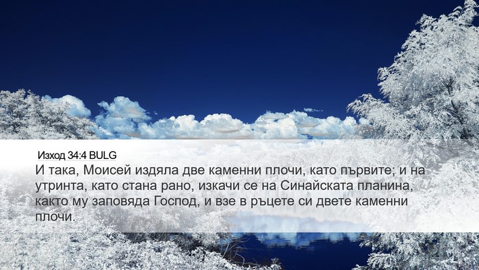 Изход 34:4 BULG Bible Verse Image