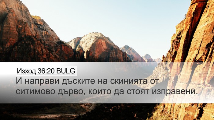 Изход 36:20 BULG Bible Verse Image
