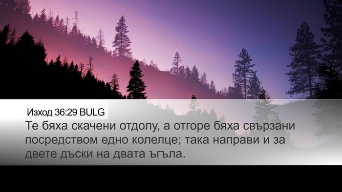 Изход 36:29 BULG Bible Verse Image