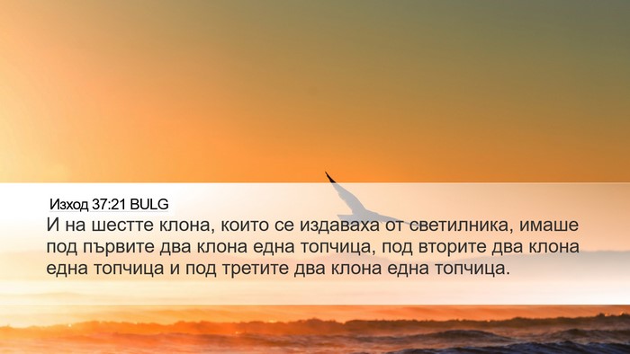 Изход 37:21 BULG Desktop Wallpaper - И на шестте клона, които се - Desktop Bible Verse Wallpaper
