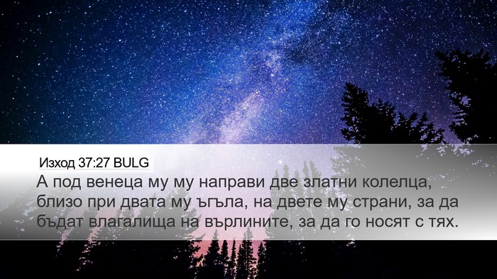 Изход 37:27 BULG Desktop Wallpaper - А под венеца му му направи - Desktop Bible Verse Wallpaper