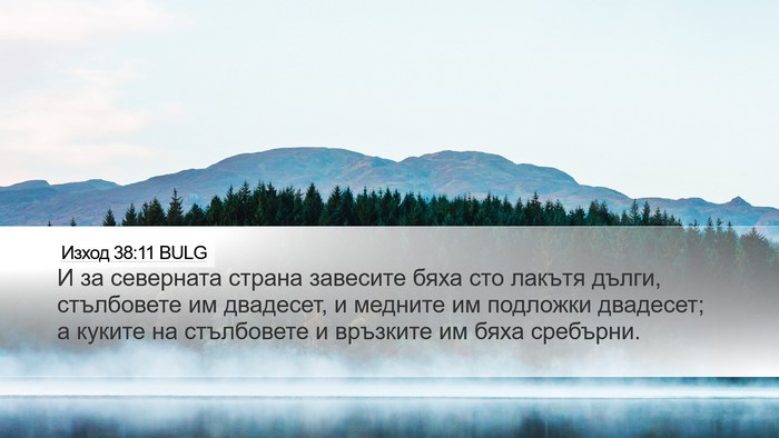 Изход 38:11 BULG Desktop Wallpaper - И за северната страна - Desktop Bible Verse Wallpaper