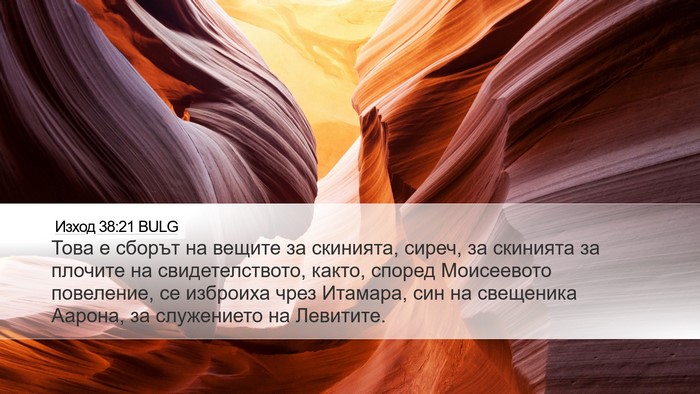 Изход 38:21 BULG Bible Verse Image