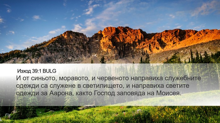 Изход 39:1 BULG Bible Verse Image