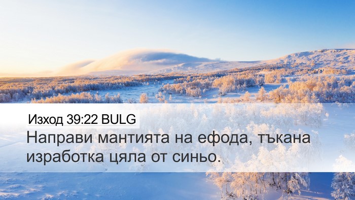 Изход 39:22 BULG Bible Verse Image