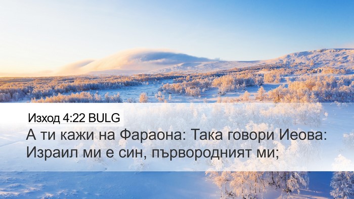 Изход 4:22 BULG Bible Verse Image