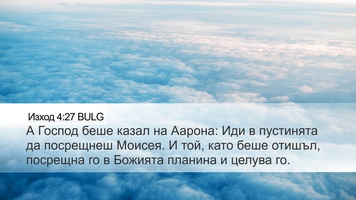 Изход 4:27 BULG Bible Verse Image