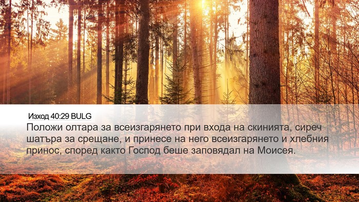 Изход 40:29 BULG Bible Verse Image