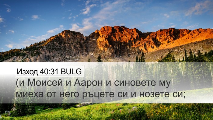 Изход 40:31 BULG Bible Verse Image