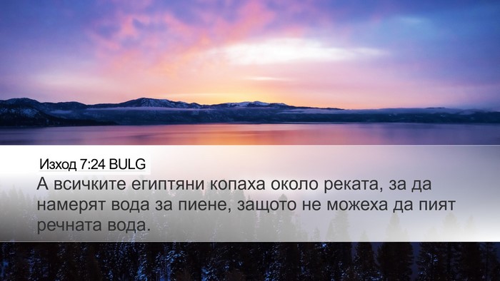 Изход 7:24 BULG Desktop Wallpaper - А всичките египтяни копаха - Desktop Bible Verse Wallpaper
