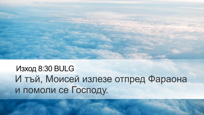 Изход 8:30 BULG Bible Verse Image
