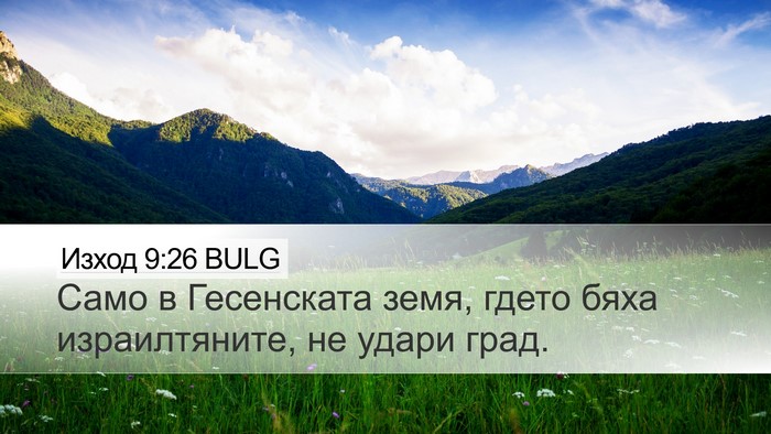 Изход 9:26 BULG Desktop Wallpaper - Само в Гесенската земя, - Desktop Bible Verse Wallpaper