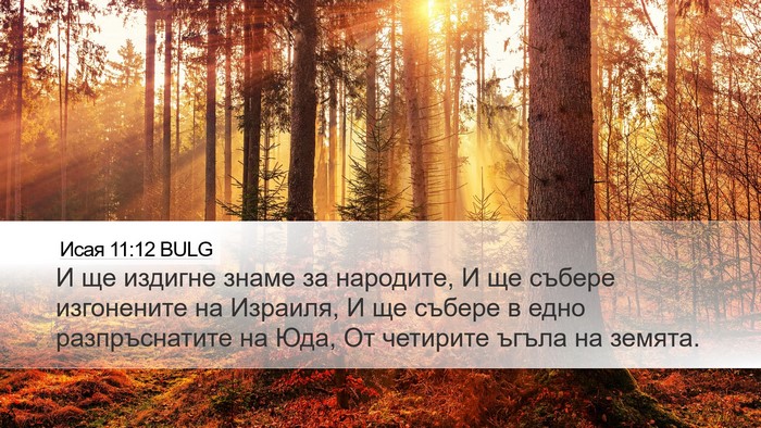 Исая 11:12 BULG Bible Verse Image