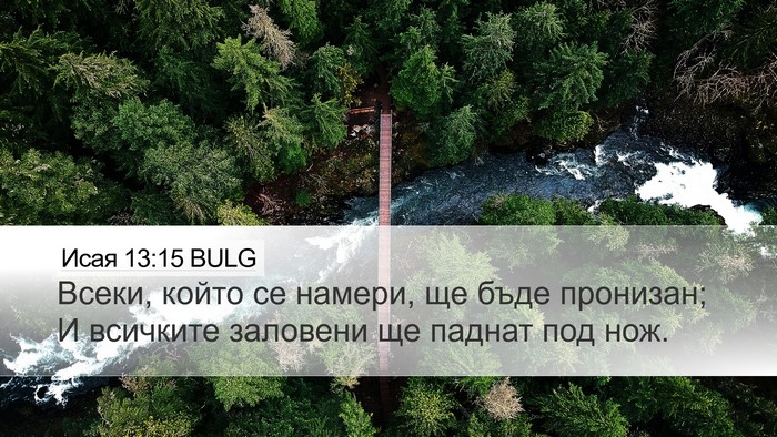 Исая 13:15 BULG Bible Verse Image