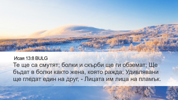 Исая 13:8 BULG Bible Verse Image