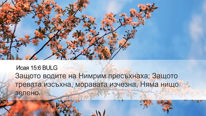 Исая 15:6 BULG Bible Verse Image
