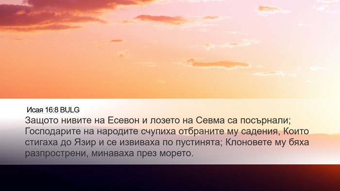 Исая 16:8 BULG Bible Verse Image