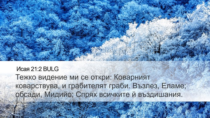 Исая 21:2 BULG Bible Verse Image