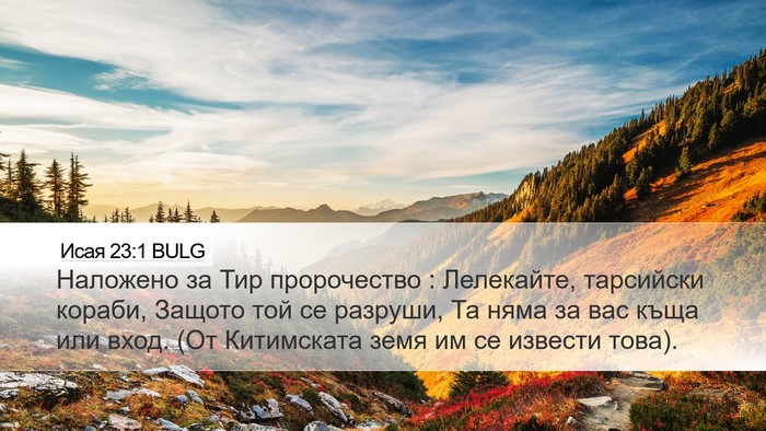 Исая 23:1 BULG Bible Verse Image
