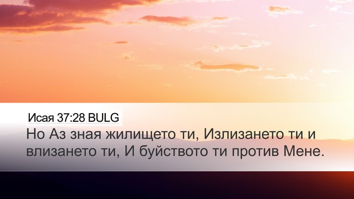 Исая 37:28 BULG Bible Verse Image