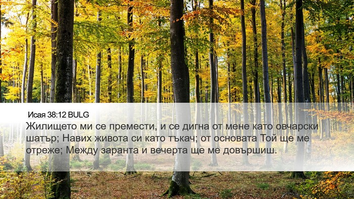 Исая 38:12 BULG Bible Verse Image