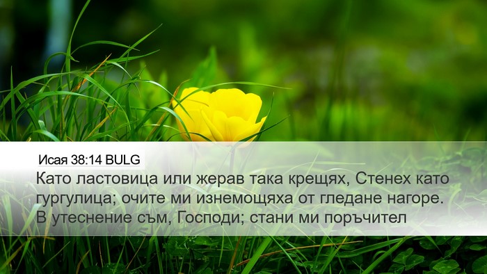 Исая 38:14 BULG Bible Verse Image