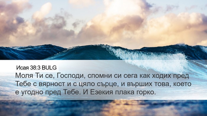 Исая 38:3 BULG Bible Verse Image