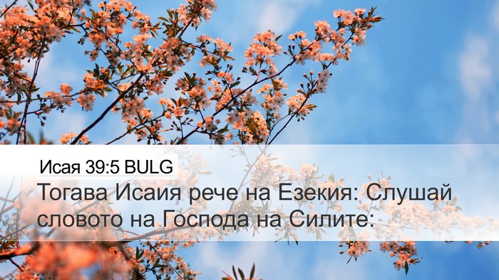 Исая 39:5 BULG Desktop Wallpaper - Тогава Исаия рече на - Desktop Bible Verse Wallpaper