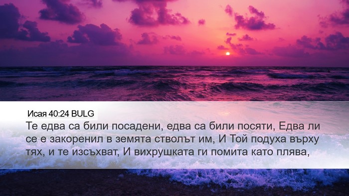 Исая 40:24 BULG Bible Verse Image