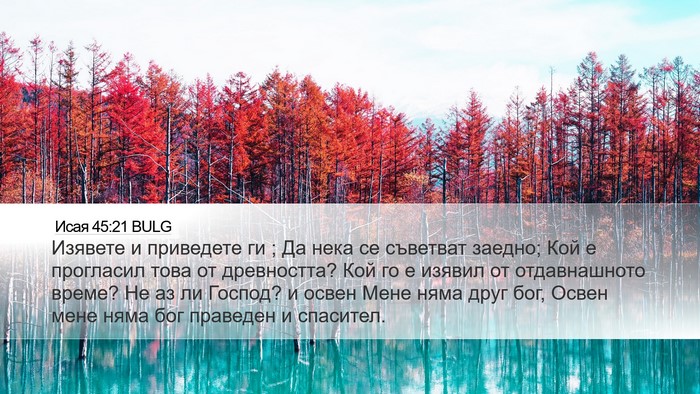 Исая 45:21 BULG Bible Verse Image